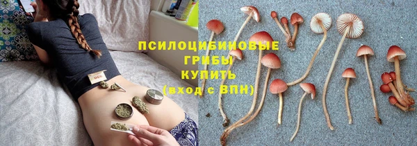 прущие крисы Абаза