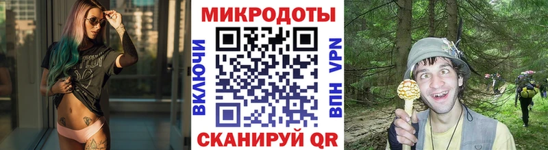 Псилоцибиновые грибы Cubensis  Зарайск 